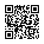 T38017-23-0 QRCode