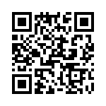 T38022-04-0 QRCode