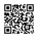 T38022-20-0 QRCode