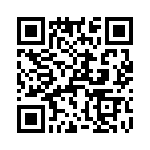 T38023-02-0 QRCode