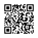 T38030-13-0 QRCode