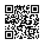 T38035-09-0 QRCode