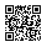 T38035-13-0 QRCode