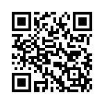 T38041-06-0 QRCode