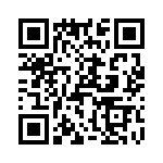 T38043-13-0 QRCode