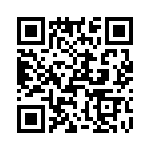 T38045-22-0 QRCode