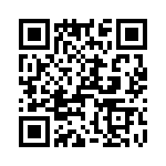 T38055-10-0 QRCode