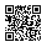 T38062-01-0 QRCode