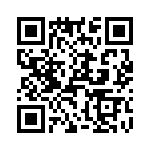 T38062-13-0 QRCode