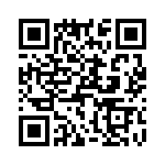 T38063-04-0 QRCode