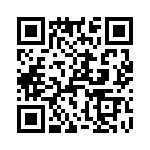 T38063-17-0 QRCode