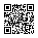 T38065-01-0 QRCode