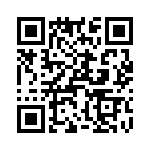 T38070-07-0 QRCode