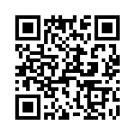 T38073-16-0 QRCode