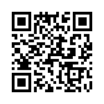 T38073-20-0 QRCode