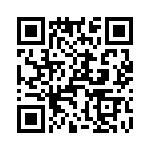 T38102-17-0 QRCode