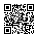 T38102-20-0 QRCode