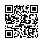 T38103-17-0 QRCode