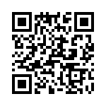 T38105-09-0 QRCode