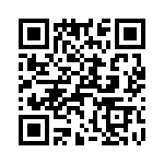 T38110-04-0 QRCode