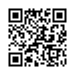 T38110-07-0 QRCode