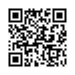 T38111-02-0 QRCode