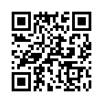 T38111-09-0 QRCode