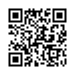 T38111-12-0 QRCode