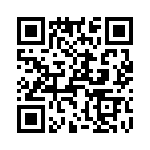 T38112-16-0 QRCode