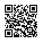 T38112-17-0 QRCode