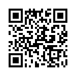 T38117-11-0 QRCode