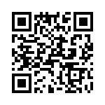 T38132-02-0 QRCode