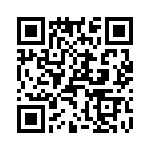 T38132-18-0 QRCode