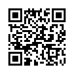 T38137-07-0 QRCode