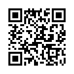 T38142-12-0 QRCode