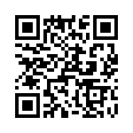 T38157-02-0 QRCode