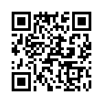 T38160-01-0 QRCode