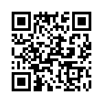 T38170-23-0 QRCode