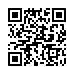 T38173-24-0 QRCode