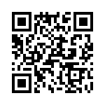 T38310-02-0 QRCode