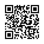 T38310-13-0 QRCode