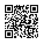 T38311-02-0 QRCode