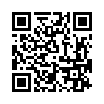 T38313-04-0 QRCode