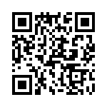 T38313-19-0 QRCode