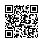 T38317-13-0 QRCode