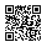 T38362-13-0 QRCode