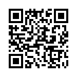 T38363-09-0 QRCode