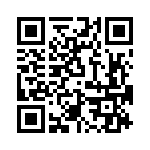 T38411-03-0 QRCode