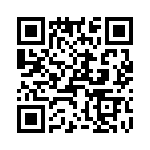 T38412-03-0 QRCode