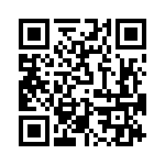 T38412-17-0 QRCode